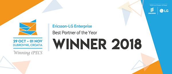 Partner of the year award